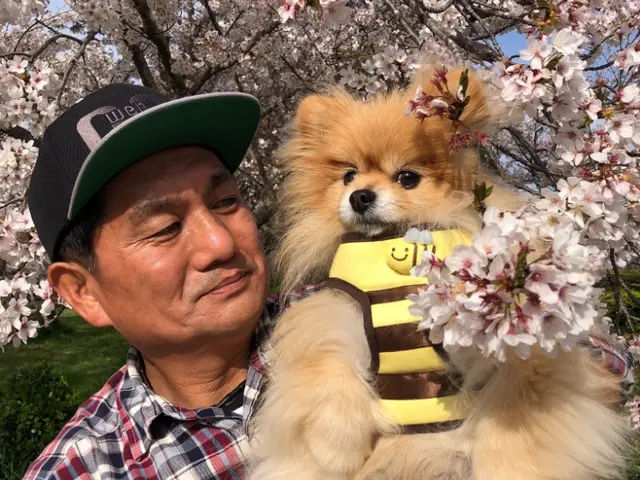 前より風が届かない。設定温度どおりに効いてない。電気代が気になる方にサービスの画像