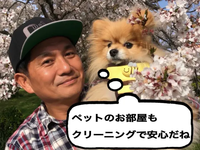 料金はお掃除有りが19800円、お掃除無しが11000円の2種類です。サービスの画像