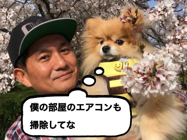 料金はお掃除有りが19800円、お掃除無しが11000円の2種類です。サービスの画像