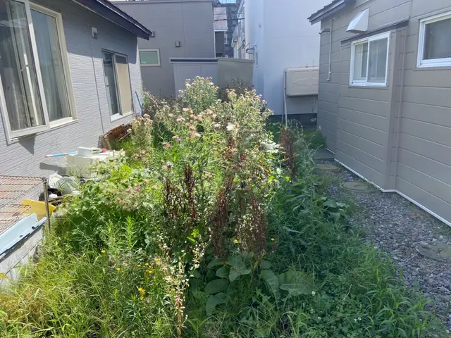 脅威の破格で最短当日作業OK！50㎡で8,000円・出張料無料・除草剤散布無料◎サービスの画像