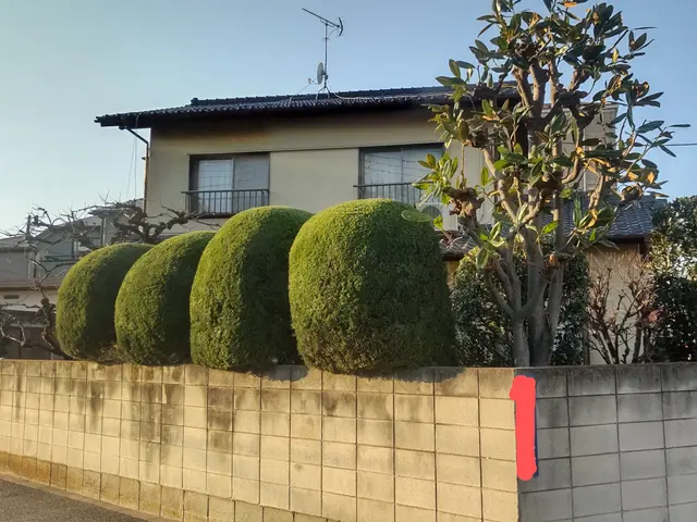 【業歴20年】毎日が気持ちが良いお庭に♪　いつも明るく元気に楽しくやってます♪サービスの画像