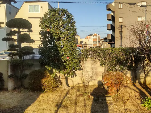 【業歴20年】毎日が気持ちが良いお庭に♪　いつも明るく元気に楽しくやってます♪サービスの画像