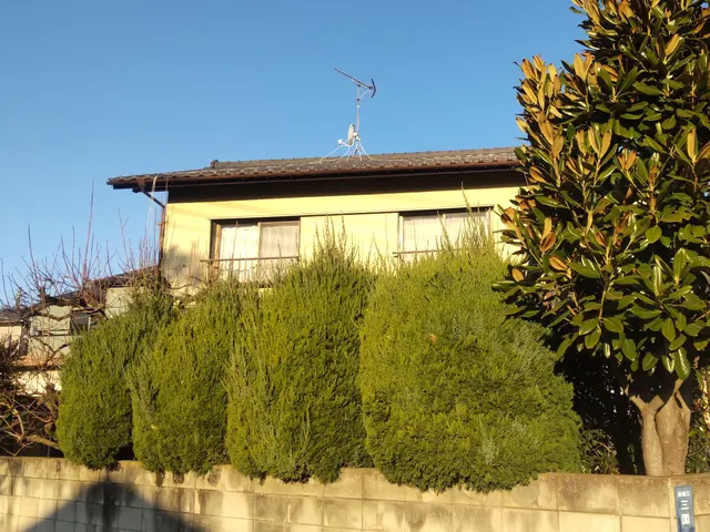 【業歴20年】毎日が気持ちが良いお庭に♪　いつも明るく元気に楽しくやってます♪サービスの画像