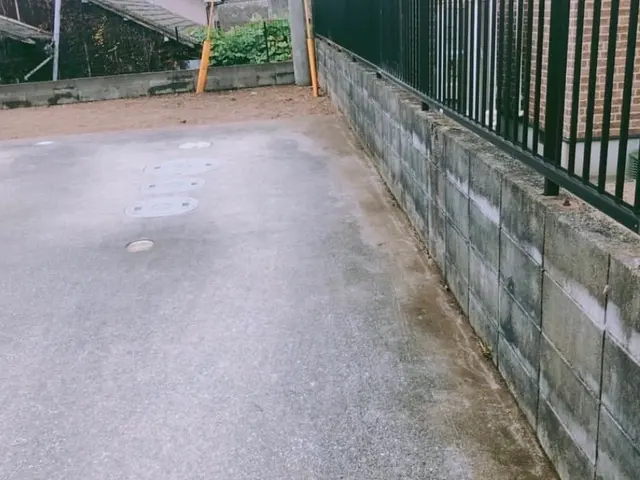 伸びた草を刈ってお庭ををスッキリさせます！サービスの画像