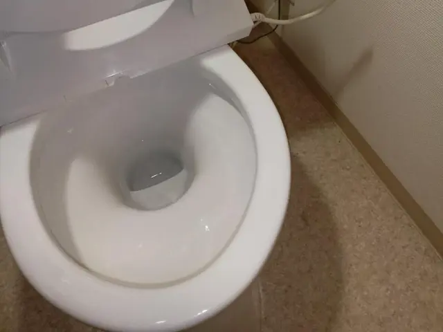 12月新出店◎個人宅◎マンション、民泊、ホテルサービスの画像