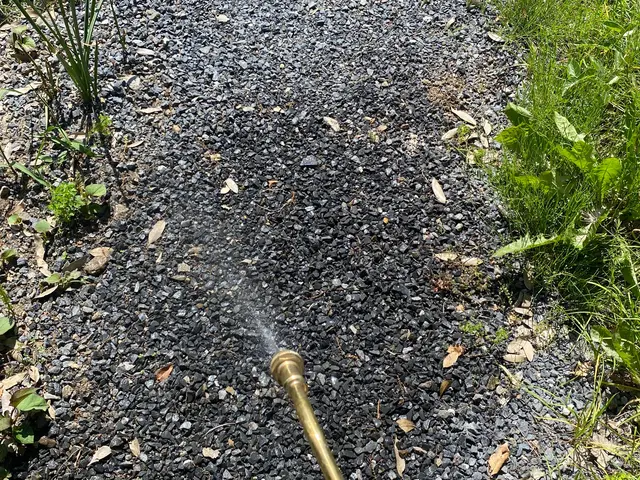 駆除の国家資格取得！究極の隙間埋め！ただ薬を撒くだけの施工は致しません！サービスの画像