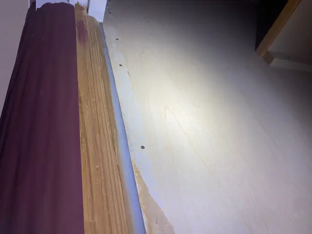 駆除の国家資格取得！究極の隙間埋め！ただ薬を撒くだけの施工は致しません！サービスの画像