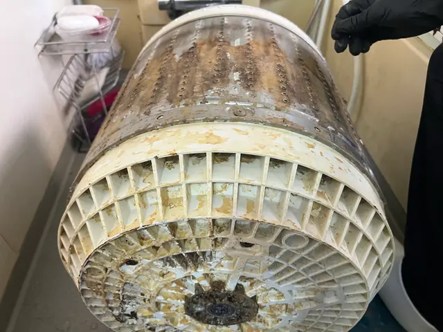 縦型洗濯機 分解クリーニング｜黒カビ・臭い徹底除去！サービスの画像