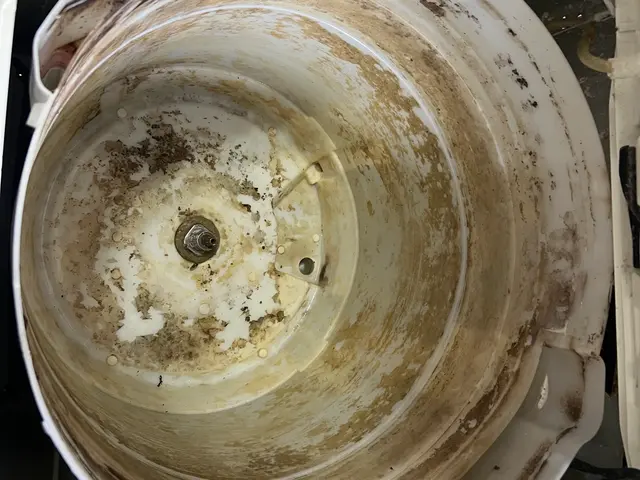 縦型洗濯機 分解クリーニング｜黒カビ・臭い徹底除去！サービスの画像