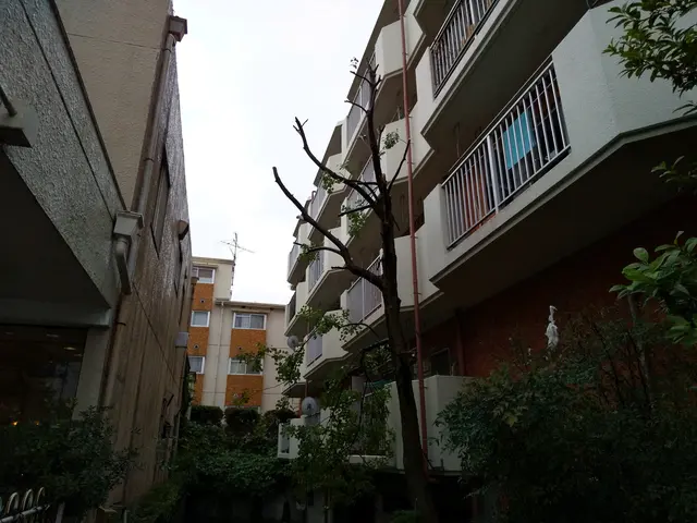 チェンソー、脚立、ロープを使い伐採します。その後、軽トラやダンプで産廃場まで運搬サービスの画像