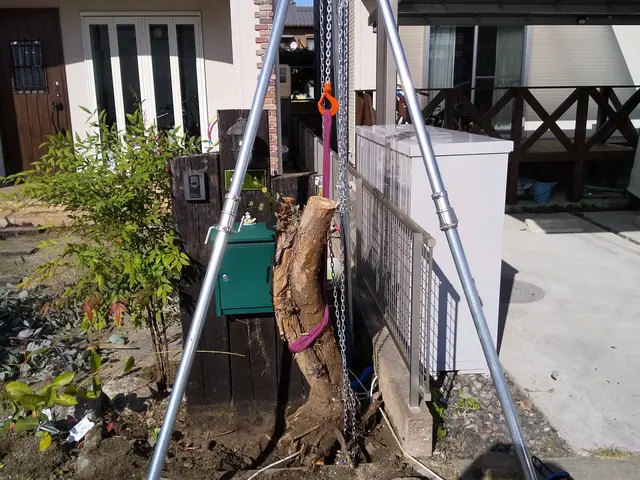 チェンソー、脚立、ロープを使い伐採します。その後、軽トラやダンプで産廃場まで運搬サービスの画像