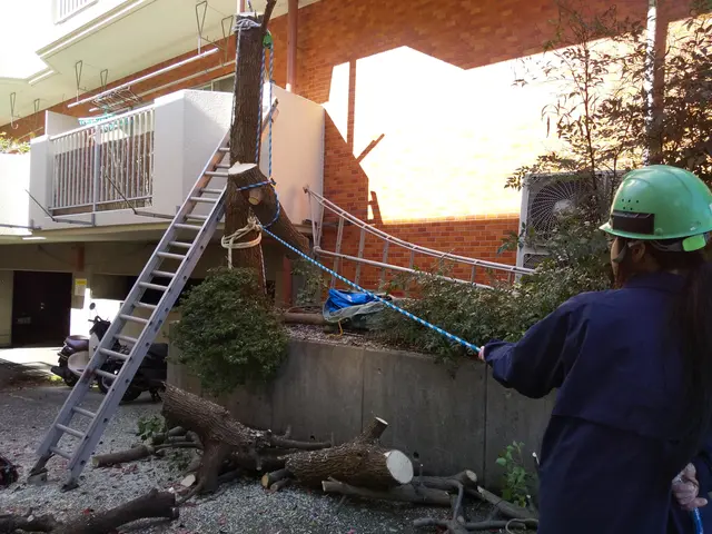 チェンソー、脚立、ロープを使い伐採します。その後、軽トラやダンプで産廃場まで運搬サービスの画像