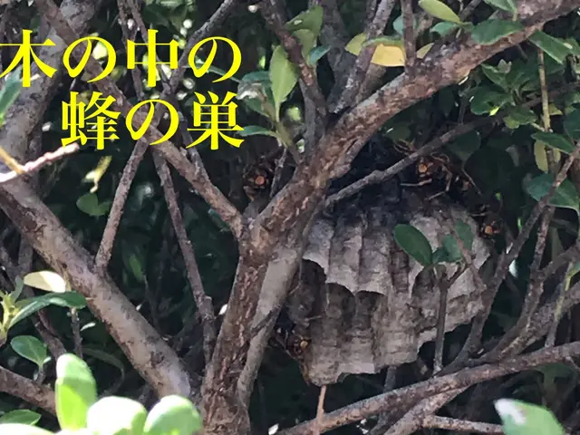 愛知県限定！アパートや一軒家のお庭などお任せください^_^サービスの画像