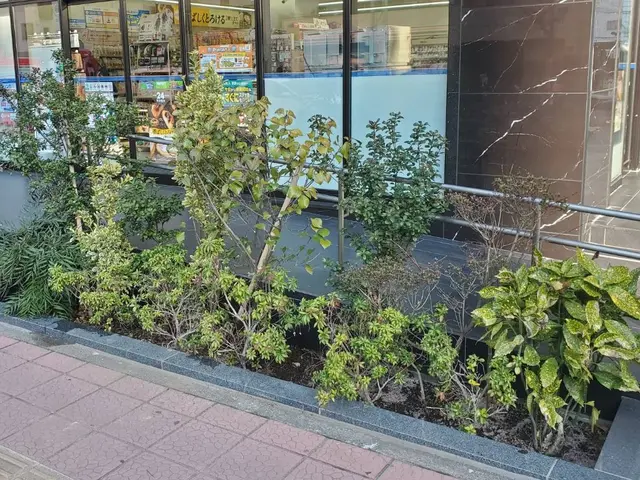 植木・庭木の植え替えサービスの画像