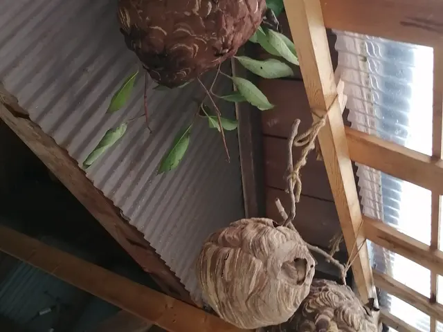 【年中無休】地域密着◇早朝作業も対応OK！真心込めて作業しますサービスの画像