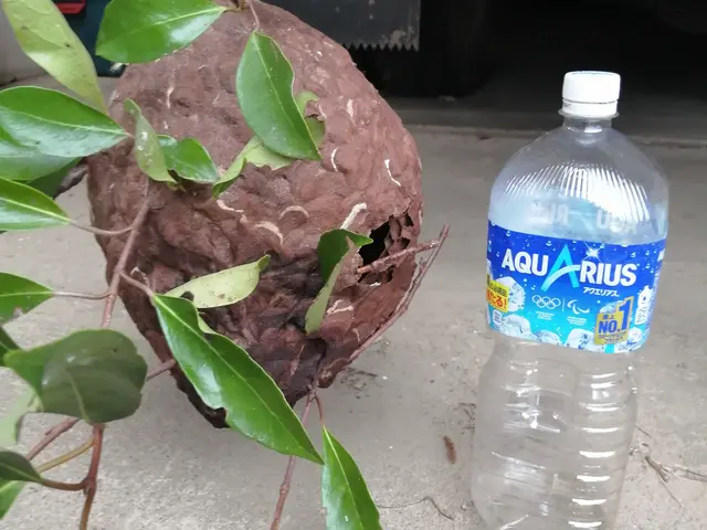 【年中無休】地域密着◇早朝作業も対応OK！真心込めて作業しますサービスの画像