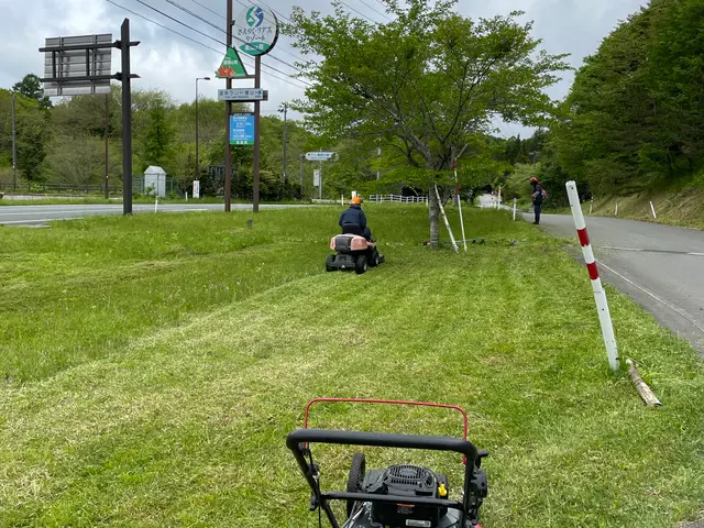 空き地や緑地の手に負えない場所の草刈りサービスの画像