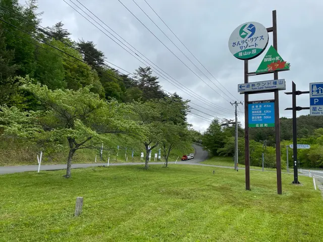 空き地や緑地の手に負えない場所の草刈りサービスの画像