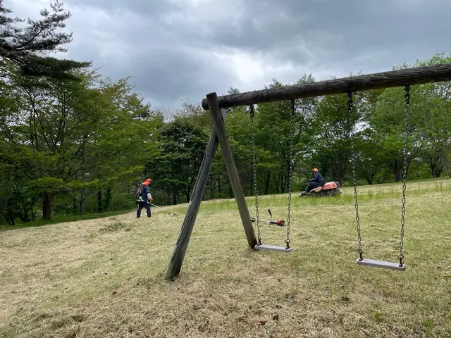 空き地や緑地の手に負えない場所の草刈りサービスの画像