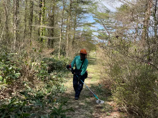 空き地や緑地の手に負えない場所の草刈りサービスの画像