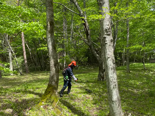 空き地や緑地の手に負えない場所の草刈りサービスの画像