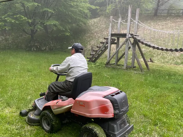 空き地や緑地の手に負えない場所の草刈りサービスの画像