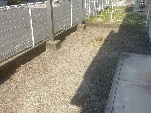 伸びきった草たちを一度しっかり刈り取りましょう！！サービスの画像