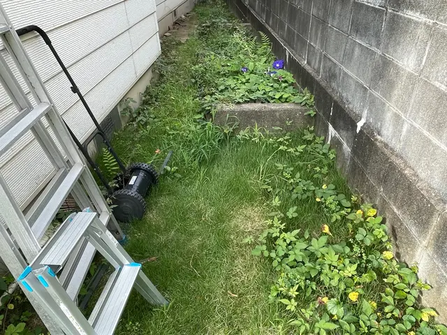 伸びきった草たちを一度しっかり刈り取りましょう！！サービスの画像