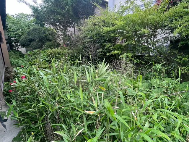 伸びきった草たちを一度しっかり刈り取りましょう！！サービスの画像