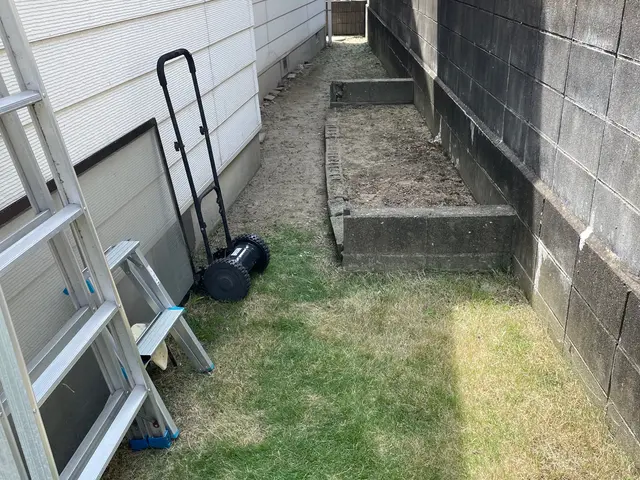伸びきった草たちを一度しっかり刈り取りましょう！！サービスの画像