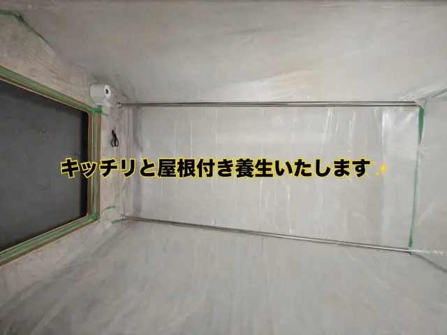 ★関西口コミ星5No1★ペットに安全薬剤★白蟻駆除資格★クレカ可★5年保証付サービスの画像