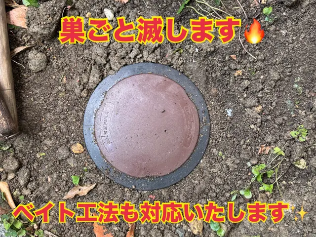 ★関西口コミ星5No1★ペットに安全薬剤★白蟻駆除資格★クレカ可★5年保証付サービスの画像