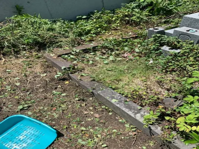 まごころ、ありがとう、代行します。お墓参り部門 １位!!　皆様に信頼されて、、、サービスの画像