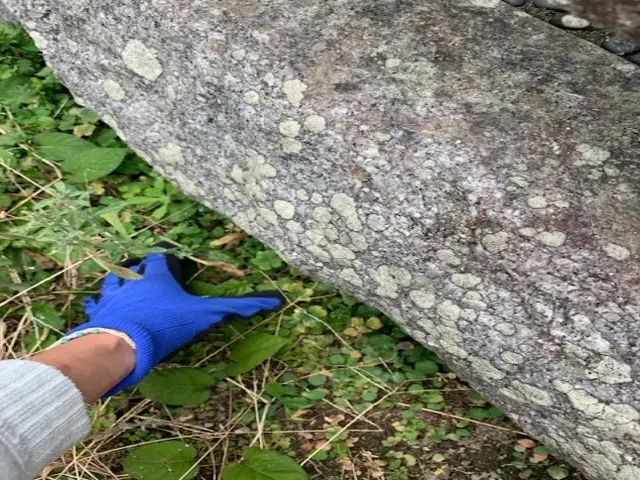 まごころ、ありがとう、代行します。お墓参り部門 １位!!　皆様に信頼されて、、、サービスの画像