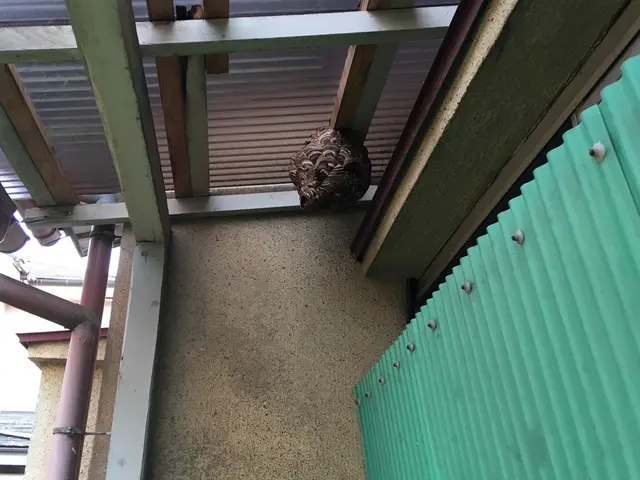 《損害保険加入》☆実績10年以上！ ☆対応時間外・地域外もご相談歓迎！サービスの画像