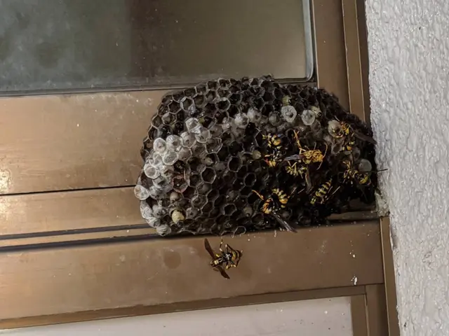 《損害保険加入》☆実績10年以上！ ☆対応時間外・地域外もご相談歓迎！サービスの画像