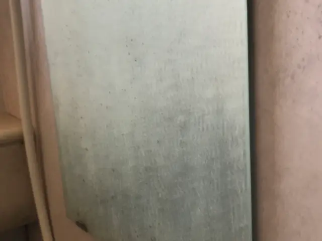 身体に優しいエコ洗剤使用、ペットが舐めても安全です。サービスの画像