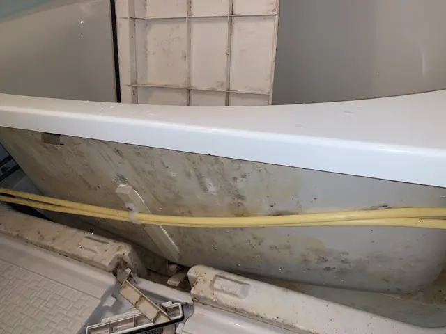 身体に優しいエコ洗剤使用、ペットが舐めても安全です。サービスの画像