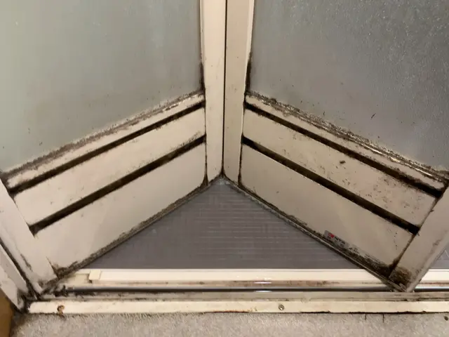 身体に優しいエコ洗剤使用、ペットが舐めても安全です。サービスの画像