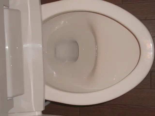 室内丸ごと除菌仕上げ！トイレクリーニングコースサービスの画像