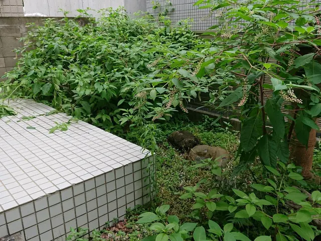 【職人歴10年以上の経験】◆年中無休◆駐車代お店負担◆損害保険加入店◆サービスの画像