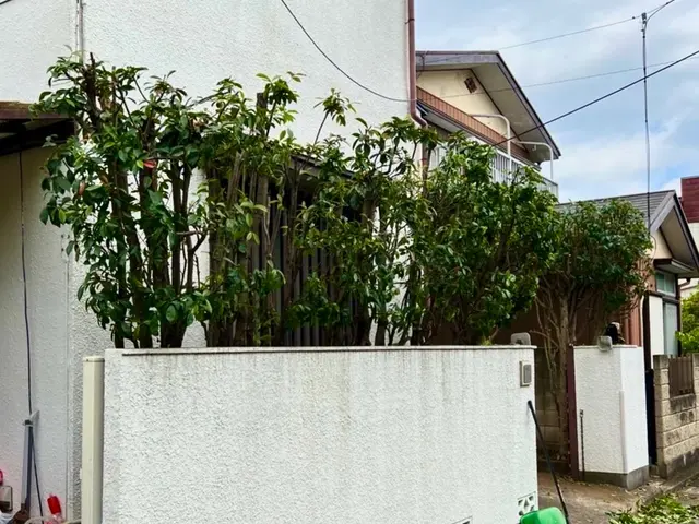 【庭木の剪定】業歴13年！素敵なお庭を作り上げます☆12月予約受付中です！サービスの画像