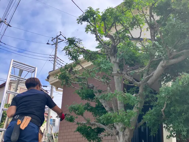 【庭木の剪定】業歴13年！素敵なお庭を作り上げます☆12月予約受付中です！サービスの画像