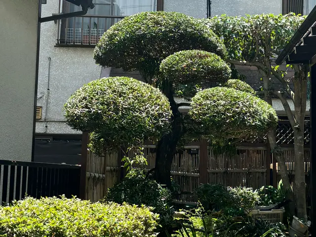 【庭木の剪定】業歴13年！素敵なお庭を作り上げます☆12月予約受付中です！サービスの画像