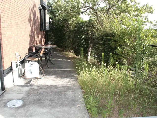 【 火曜日限定 】★女性スタッフ対応★草むしりはお任せくださいっ♪サービスの画像