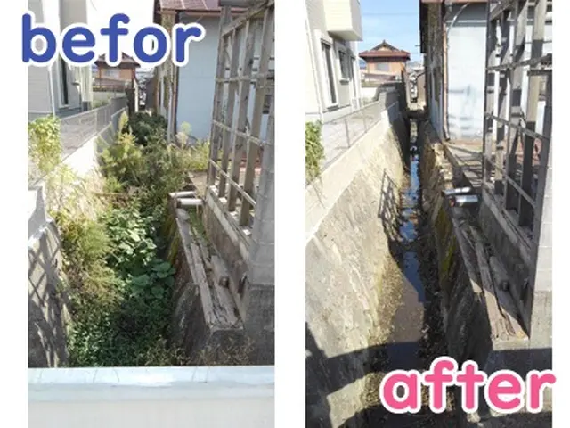 【 火曜日限定 】★女性スタッフ対応★草むしりはお任せくださいっ♪サービスの画像