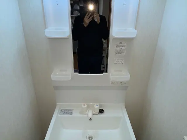 洗面所クリーニング（洗面台・鏡・収納まわり）サービスの画像