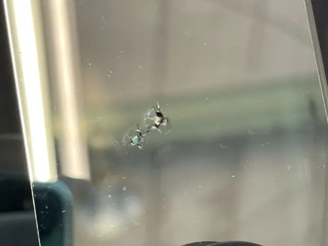 【ウインドリペア】◎出張施工　◎100%自社対応　◎営業時間外も対応可サービスの画像