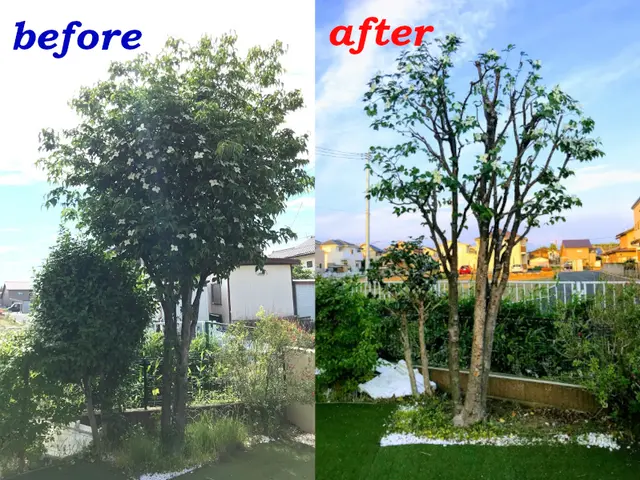 前橋市発【年中無休】土日祝もご予約大歓迎◆職人歴10年！大手業務経験あり◆サービスの画像