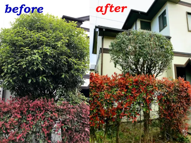 前橋市発【年中無休】土日祝もご予約大歓迎◆職人歴10年！大手業務経験あり◆サービスの画像